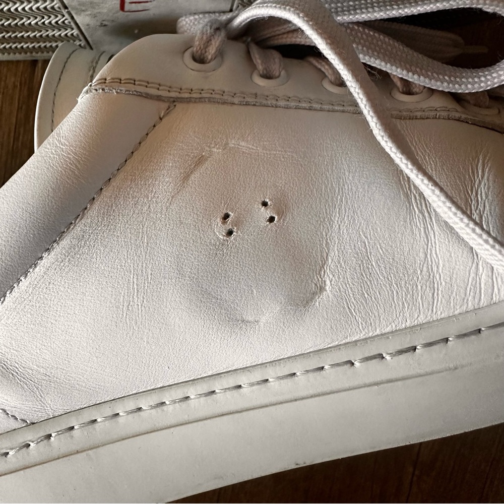 Roberto Cavalli Logo Leather Low Top Sneakers - Picture 13 of 14
